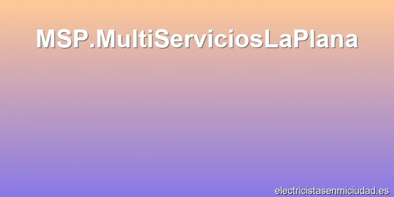 MSP.MultiServiciosLaPlana