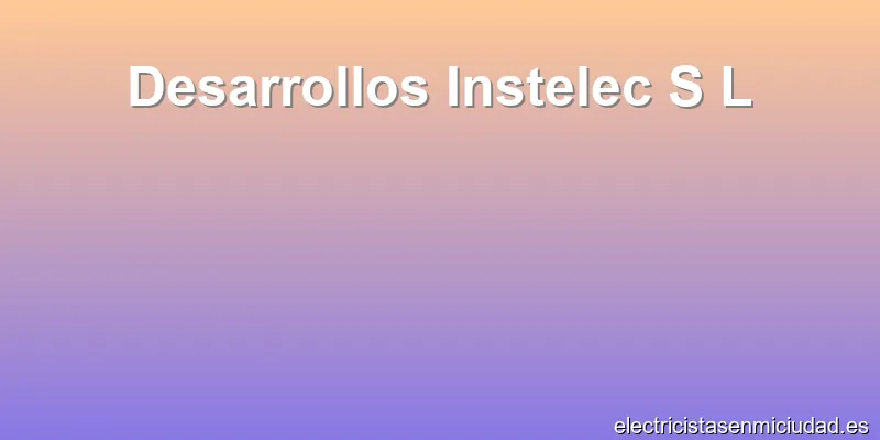 Desarrollos Instelec S L