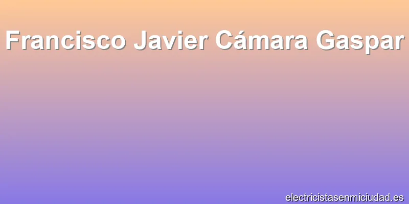 Francisco Javier Cámara Gaspar