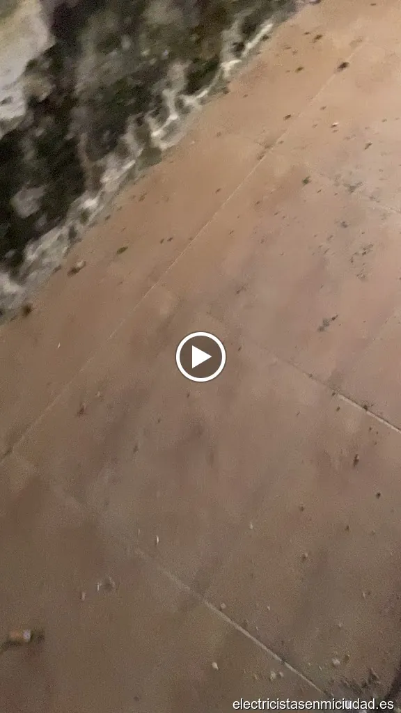 Multiservicios Martínez aguilas