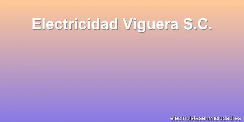 Electricidad Viguera S.C.