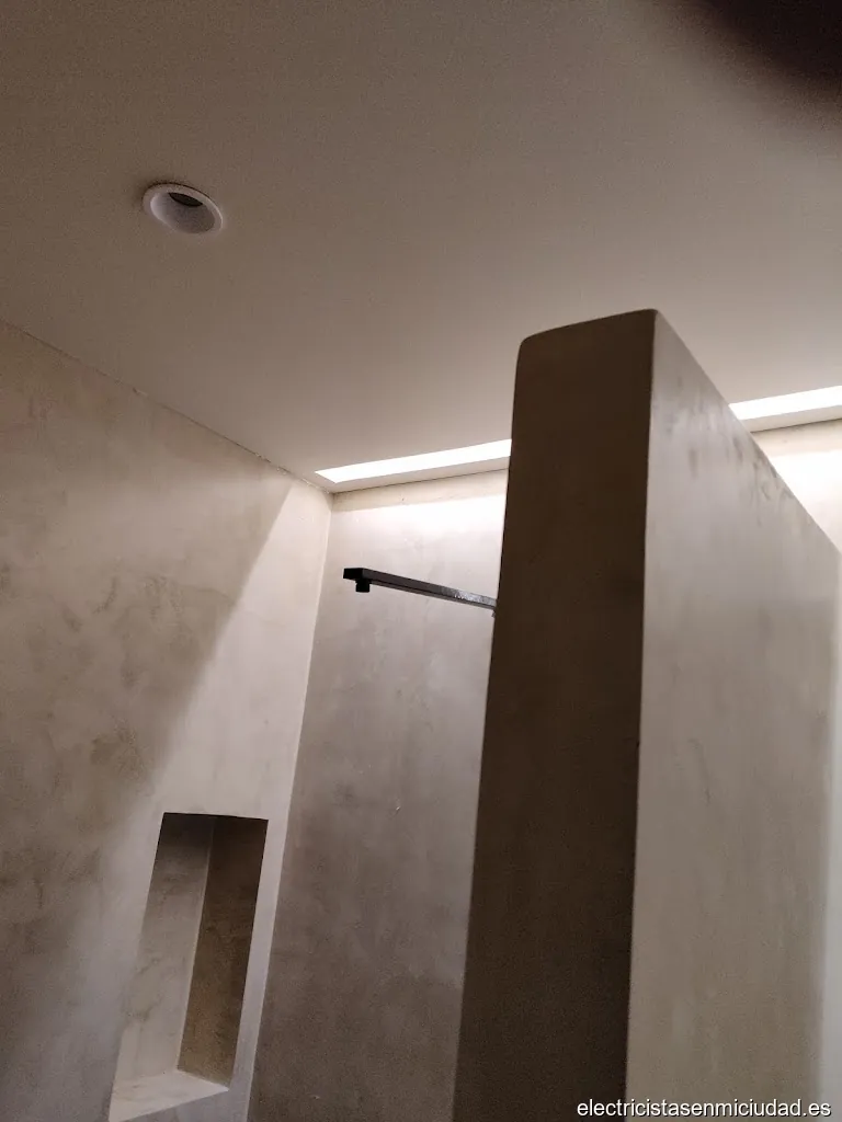 Domingo Sánchez Electricistas