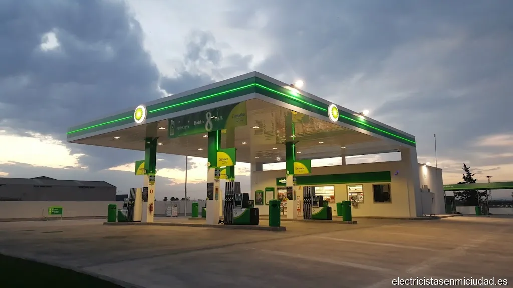 Francisco Flores Hernández S L