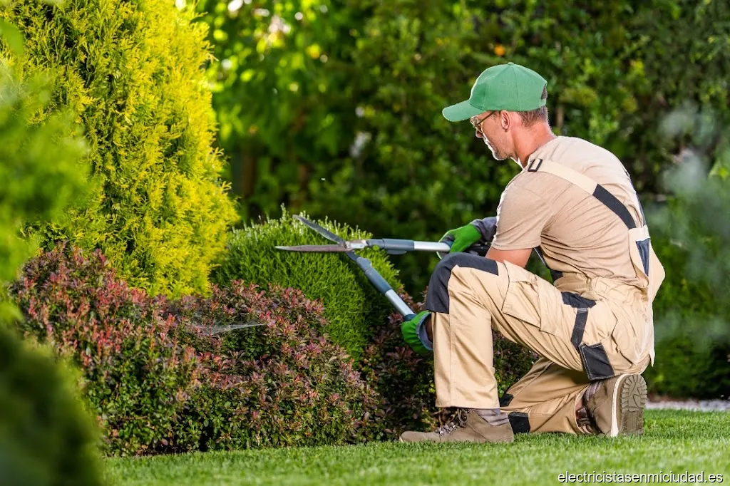 Empresas de Limpieza Torrejon de Ardoz GRUPO SAVA