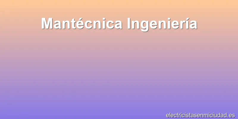 Mantécnica Ingeniería