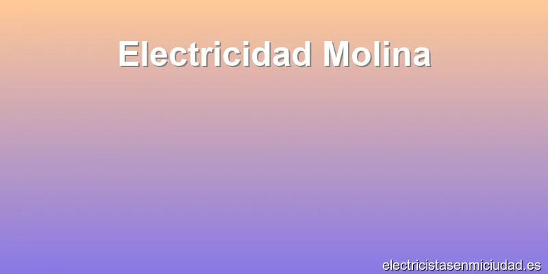 Electricidad Molina