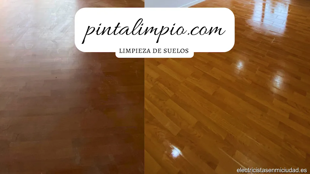 Pintalimpio, S.L.