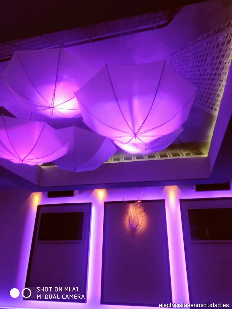 Montajes Eléctricos Pedro Vasallo S.L.U.