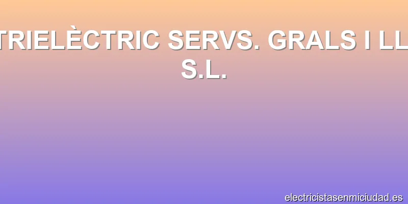 TRIELÈCTRIC SERVS. GRALS I LL. S.L.