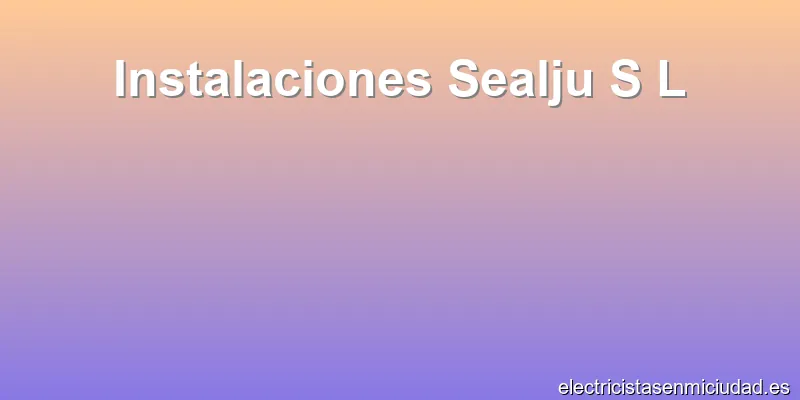 Instalaciones Sealju S L
