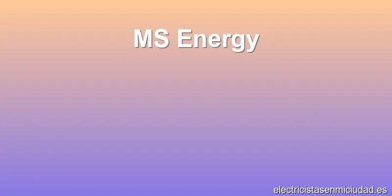 MS Energy