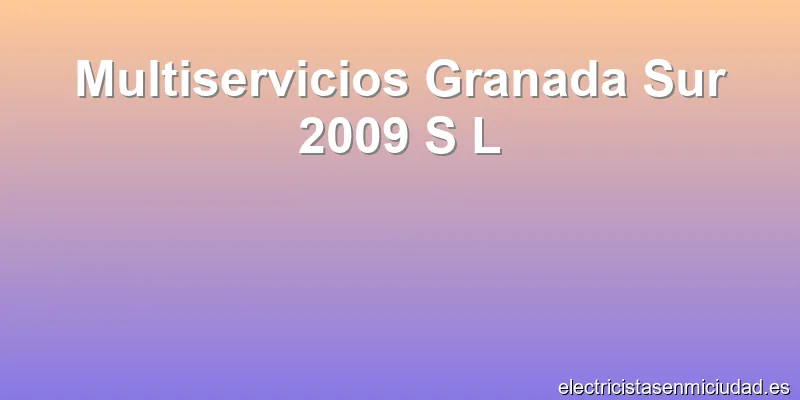 Multiservicios Granada Sur 2009 S L