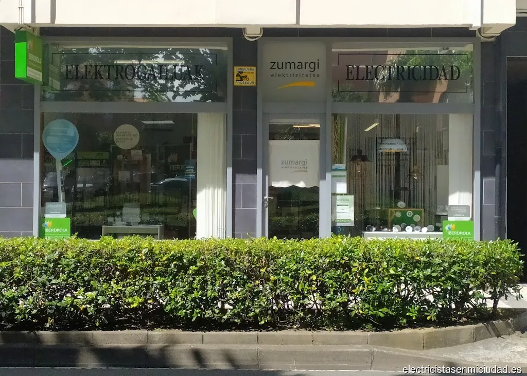 Zumargi Elektrizitateak