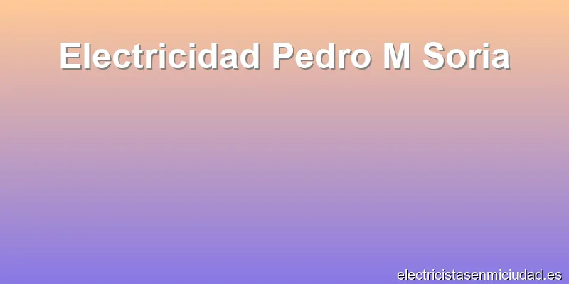 Electricidad Pedro M Soria