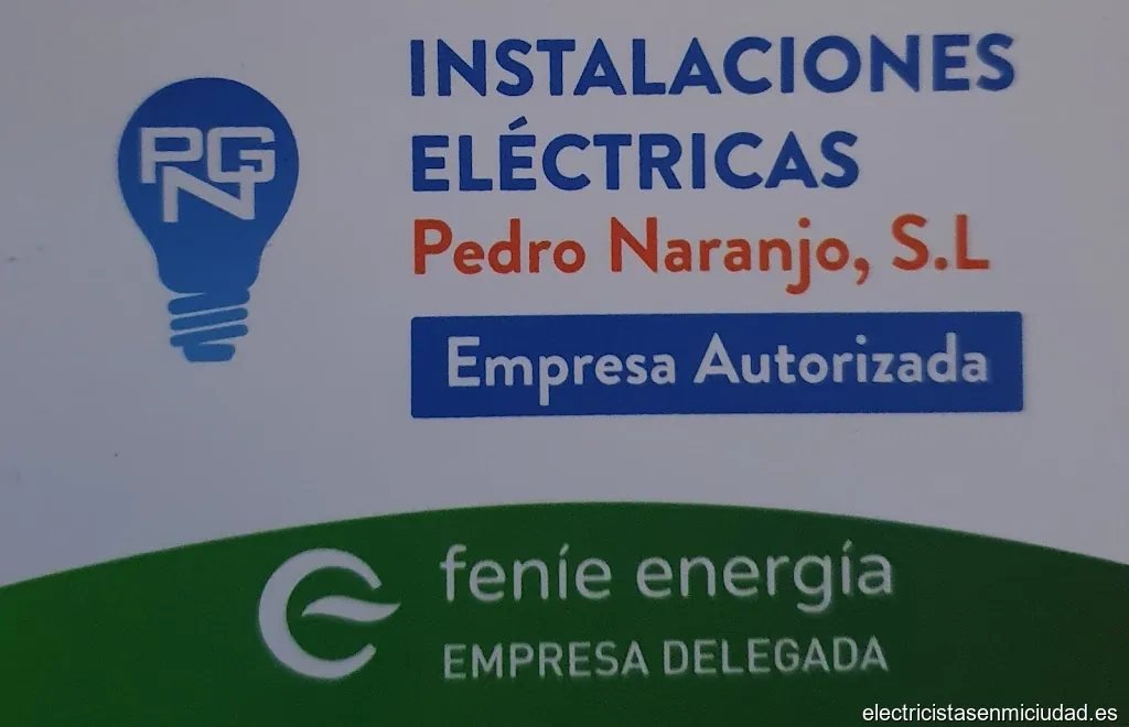 Instalaciones Eléctricas Pedro Naranjo S L