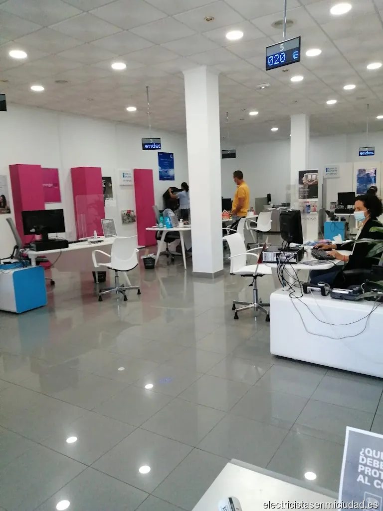 Oficina Endesa Monelser