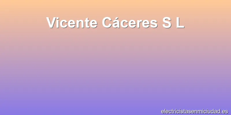 Vicente Cáceres S L