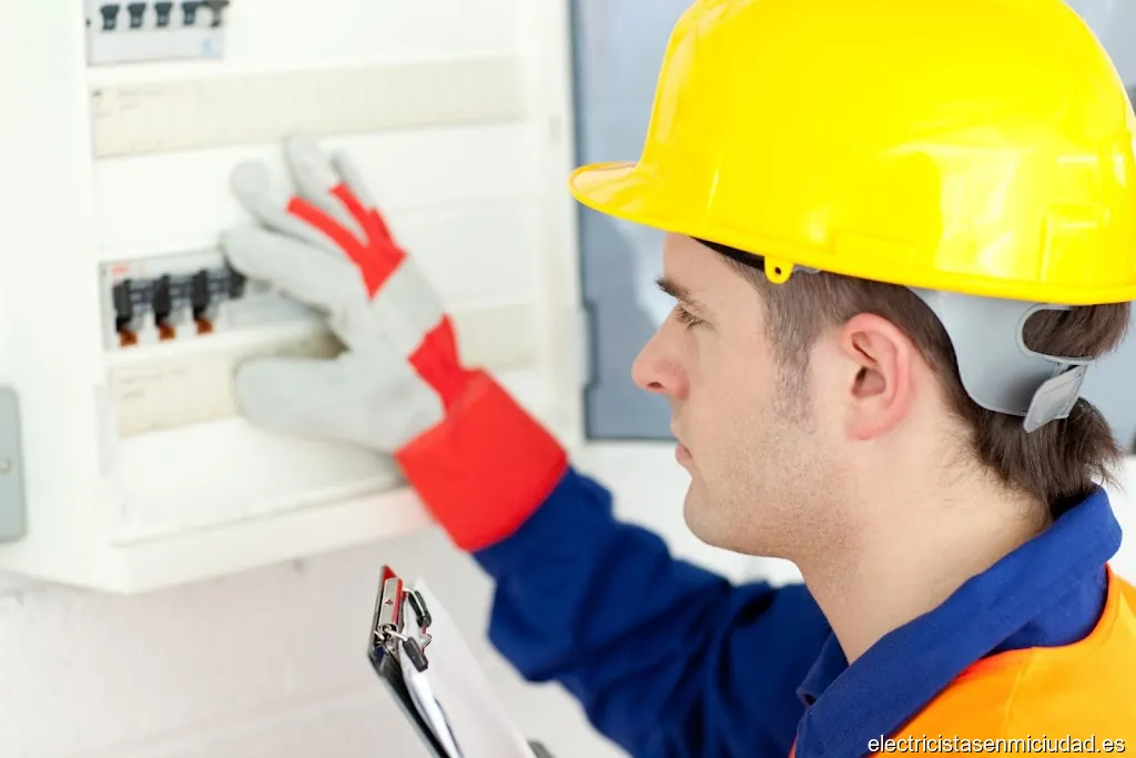 BOLETÍN ELÉCTRICO Electricista Autorizado OFERTA