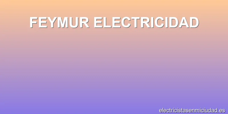 FEYMUR ELECTRICIDAD