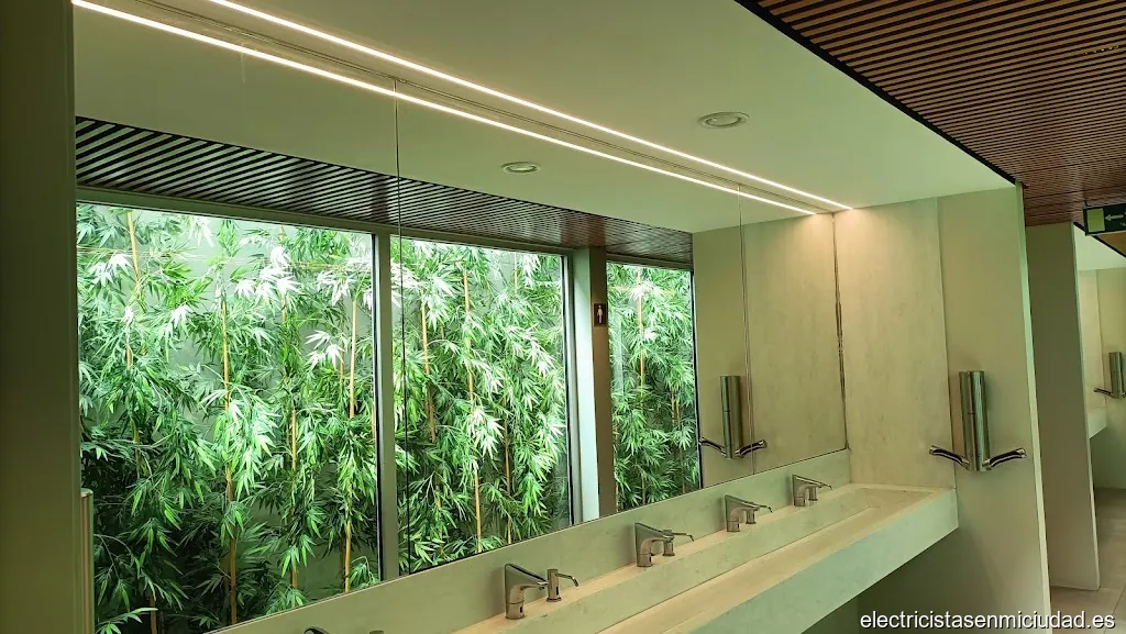 Olufsen's Instalaciones