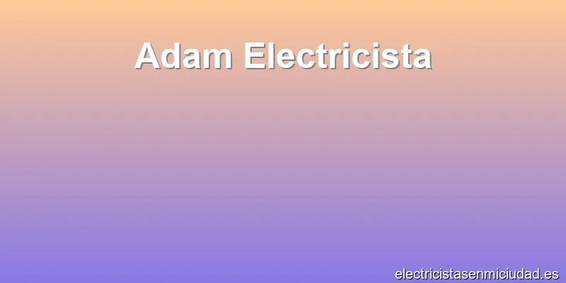 Adam Electricista