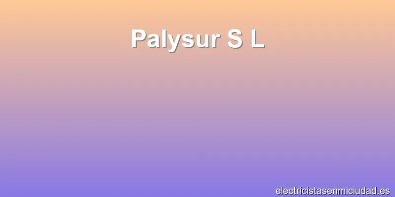 Palysur S L