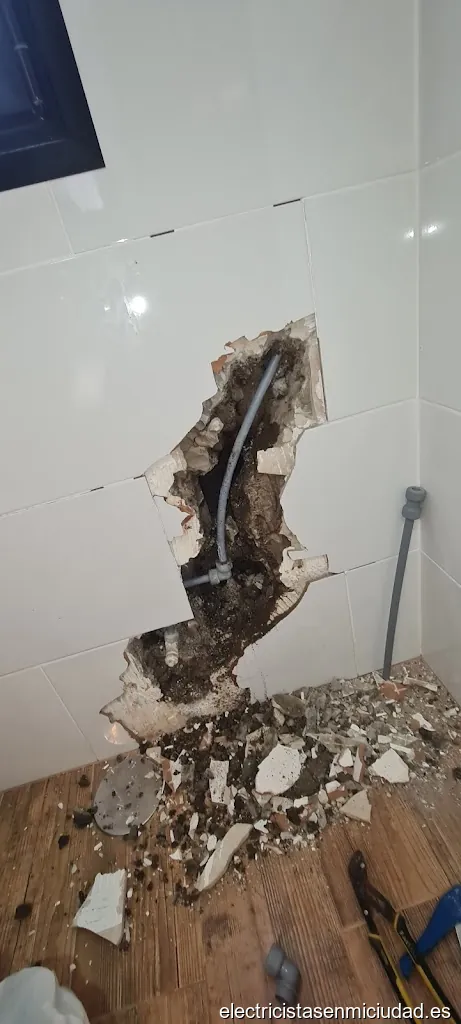 ELECTRICISTAS Y FONTANEROS PROFECIONALES