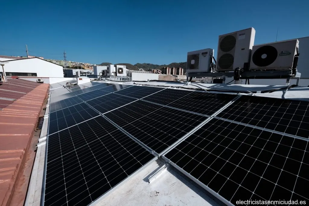 INITEN Iniciativas Industriales. Punto de Servicio Endesa