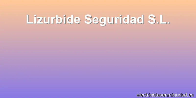 Lizurbide Seguridad S.L.