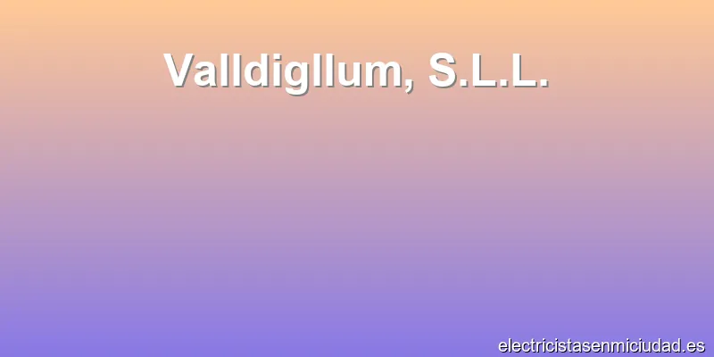 Valldigllum, S.L.L.