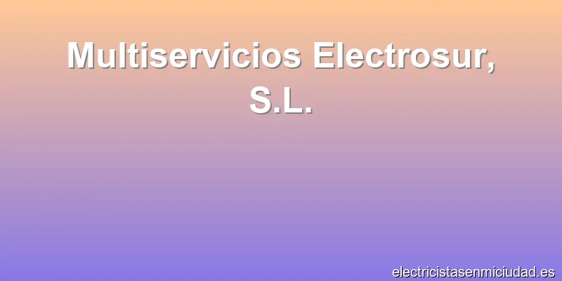 Multiservicios Electrosur, S.L.