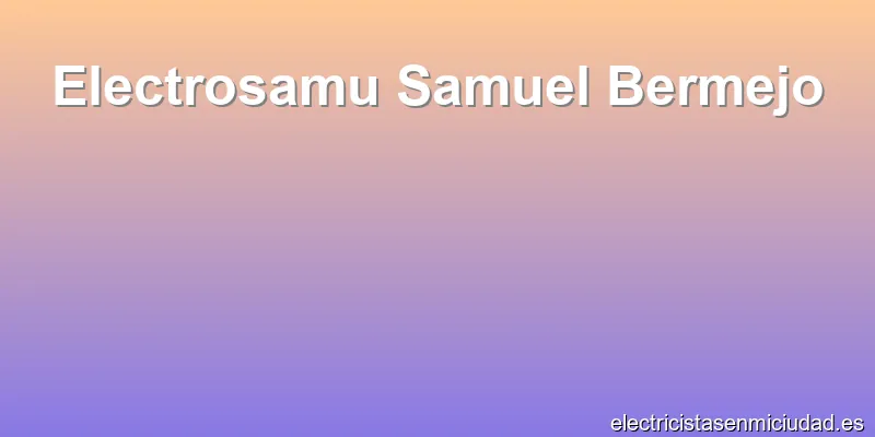 Electrosamu Samuel Bermejo