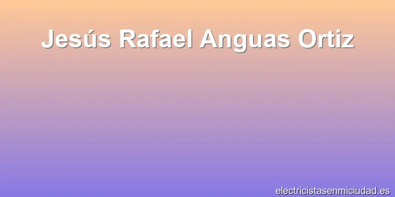 Jesús Rafael Anguas Ortiz