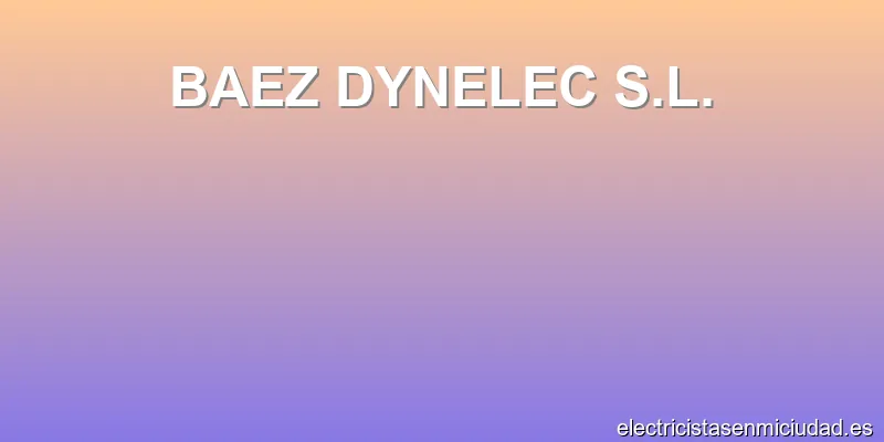 BAEZ DYNELEC S.L.
