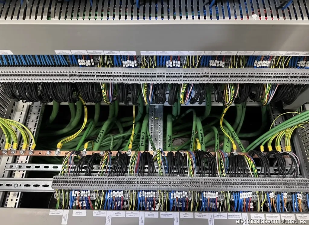 FREDELECTRIC2025 S.l