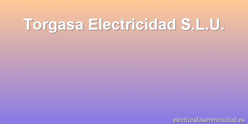 Torgasa Electricidad S.L.U.