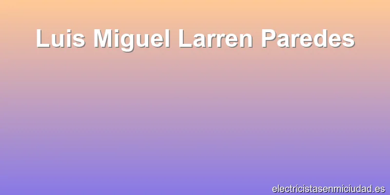 Luis Miguel Larren Paredes