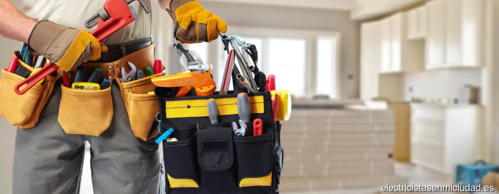 MULTISERVICIOS GUILLERMO (ELECTRICISTA, FONTANERO Y REPARACIONES)