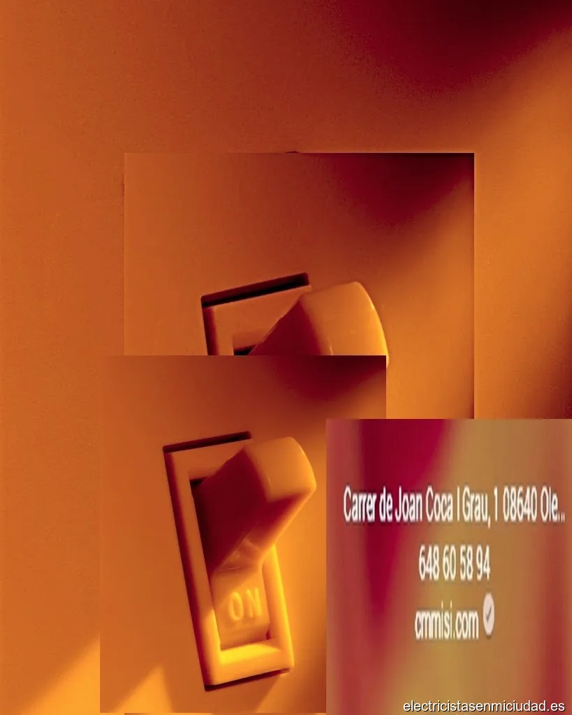 CMM ISI (INSTALACIONES Y SERVICIOS INTEGRALES)