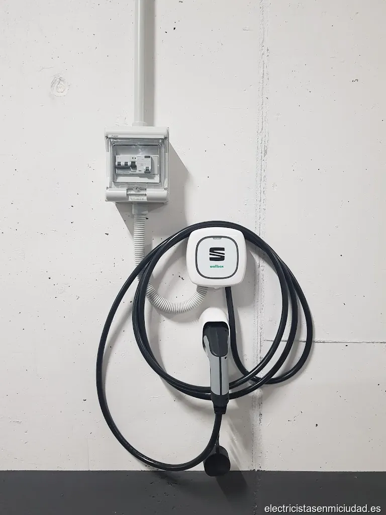 Electricista Raul Delgado