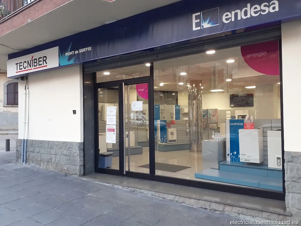 Oficina Endesa Tecniber