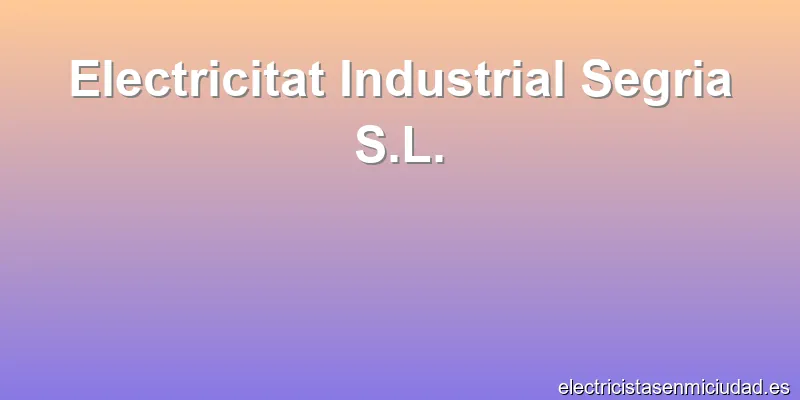Electricitat Industrial Segria S.L.