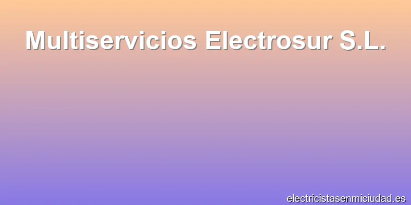 Multiservicios Electrosur S.L.