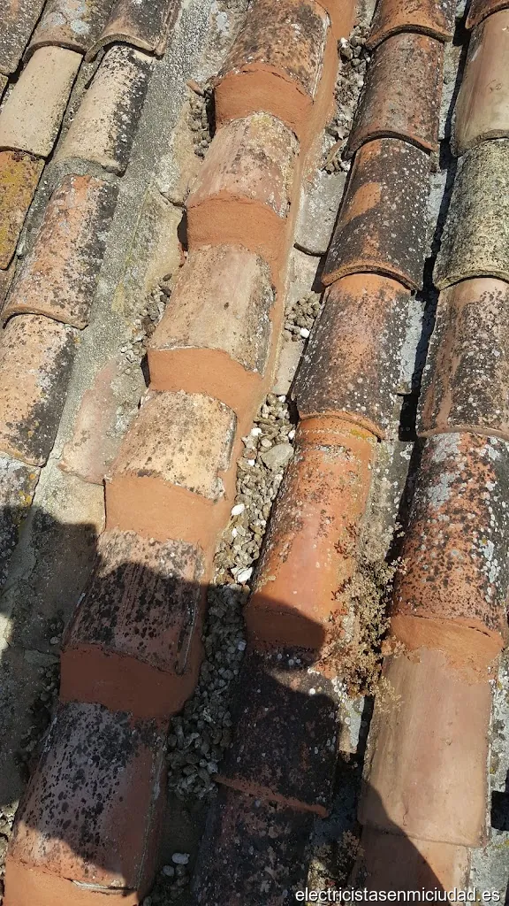 J A Pascual Laso S A