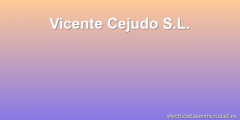 Vicente Cejudo S.L.