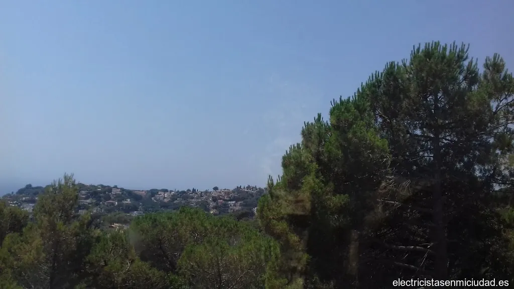 Bonnin Gómez, Rodrigo