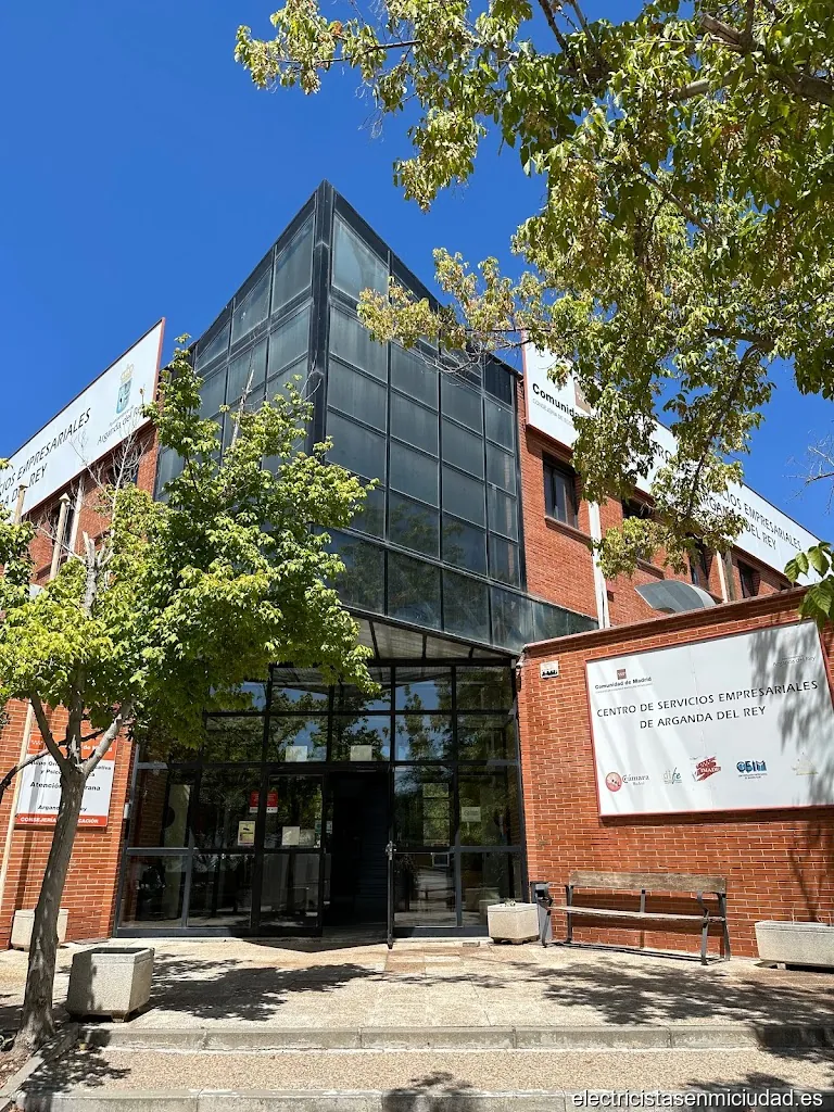 Servicios Especializados de Auxiliares y Limpiezas SLU (SEAL)