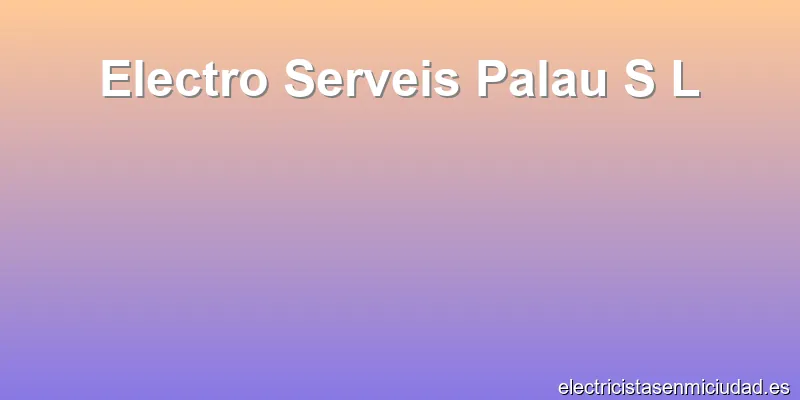 Electro Serveis Palau S L