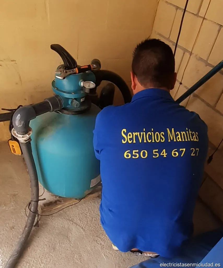 Servicios manitas