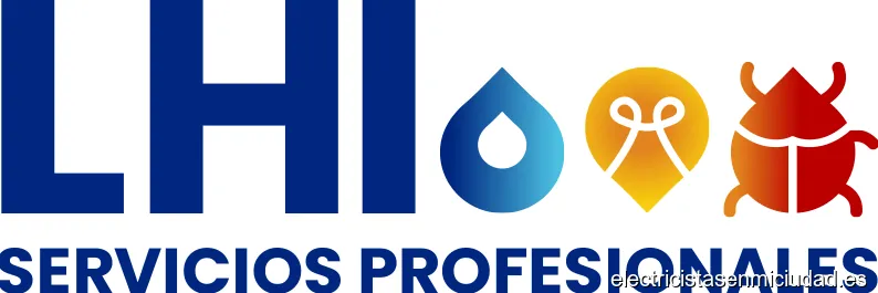 LHI Servicios Profesionales